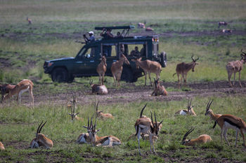 فندق Elewana Sand River Masai Mara ماساي مارا المظهر الخارجي الصورة